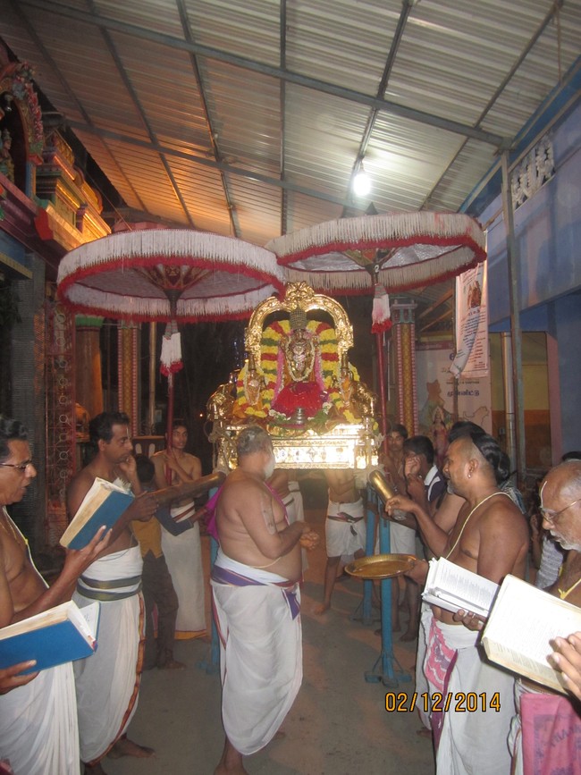 MGR Prasanna venkatesa perumal Avathara Utsavam day 5 2014 -08