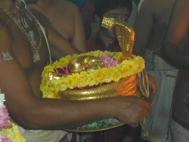 Mannargudi Nagasayanam Pradhishtapanai 2014 -05