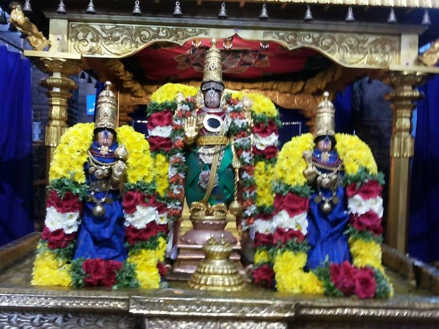 Masi Magam Thirumanjanam Nitya Kalyana Perumal Temple 2014 -07_640x480