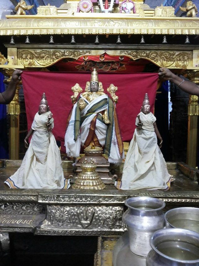 Masi Magam Thirumanjanam Nitya Kalyana Perumal Temple 2014 -08_640x853
