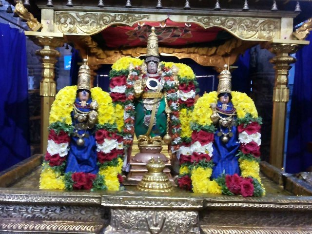 Masi Magam Thirumanjanam Nitya Kalyana Perumal Temple 2014 -09_640x480