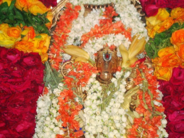 Mumbai Sri Balaji Mandir Hayagreeva Homam  2014 -17