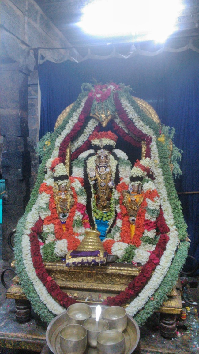 Mylapore Adhikesava Perumal Masi Sravanam Purappadu 2014 -2