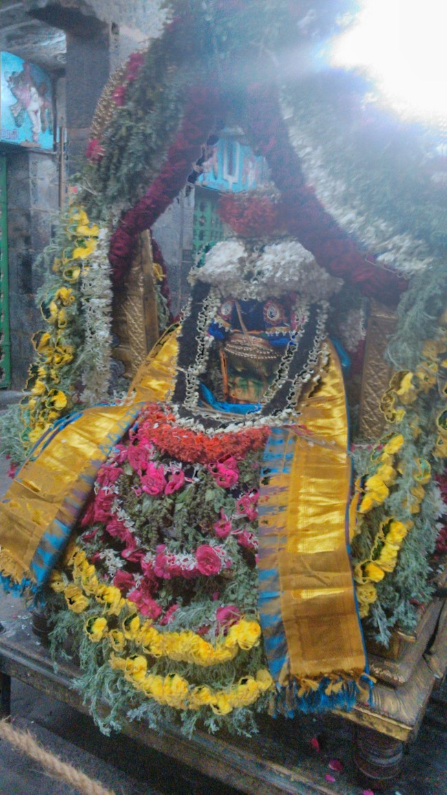Mylapore Adhikesava Perumal Masi Sravanam Purappadu 2014 -5