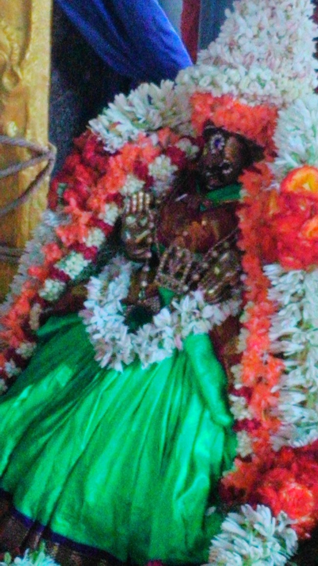 Mylapore Mayuravalli Thayar Vellikizhamai Purappadu  2014--01
