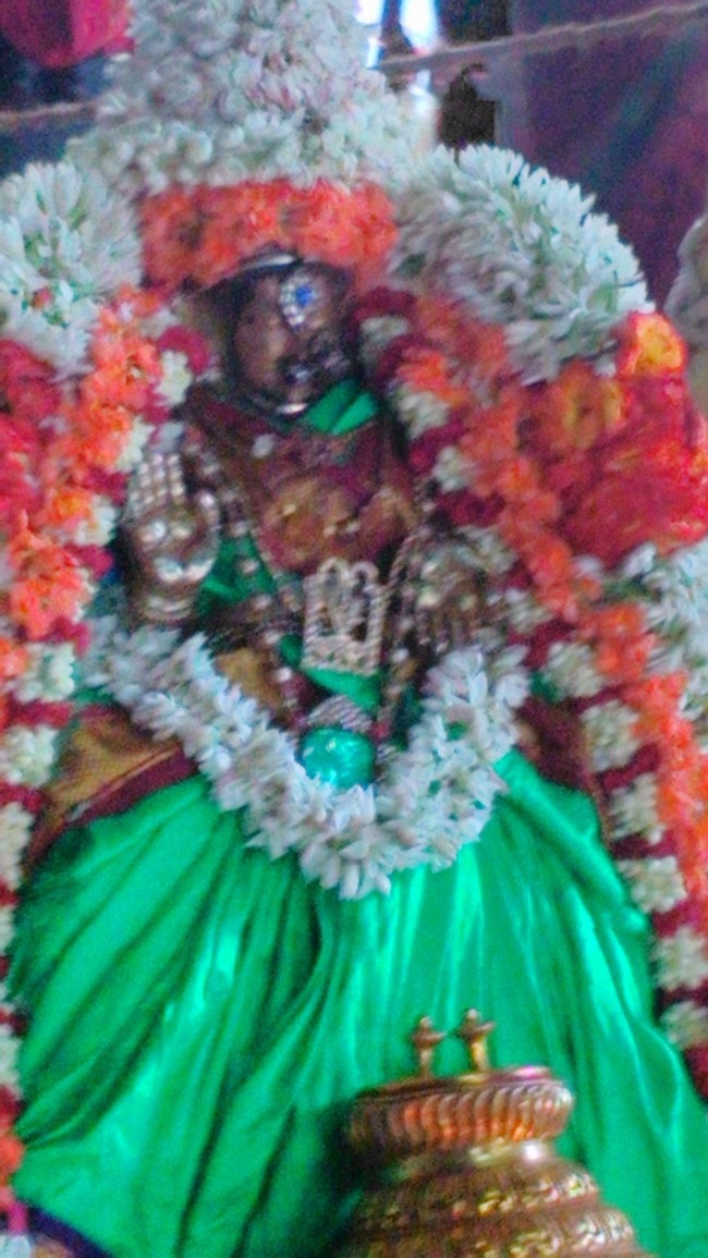 Mylapore Mayuravalli Thayar Vellikizhamai Purappadu  2014--02