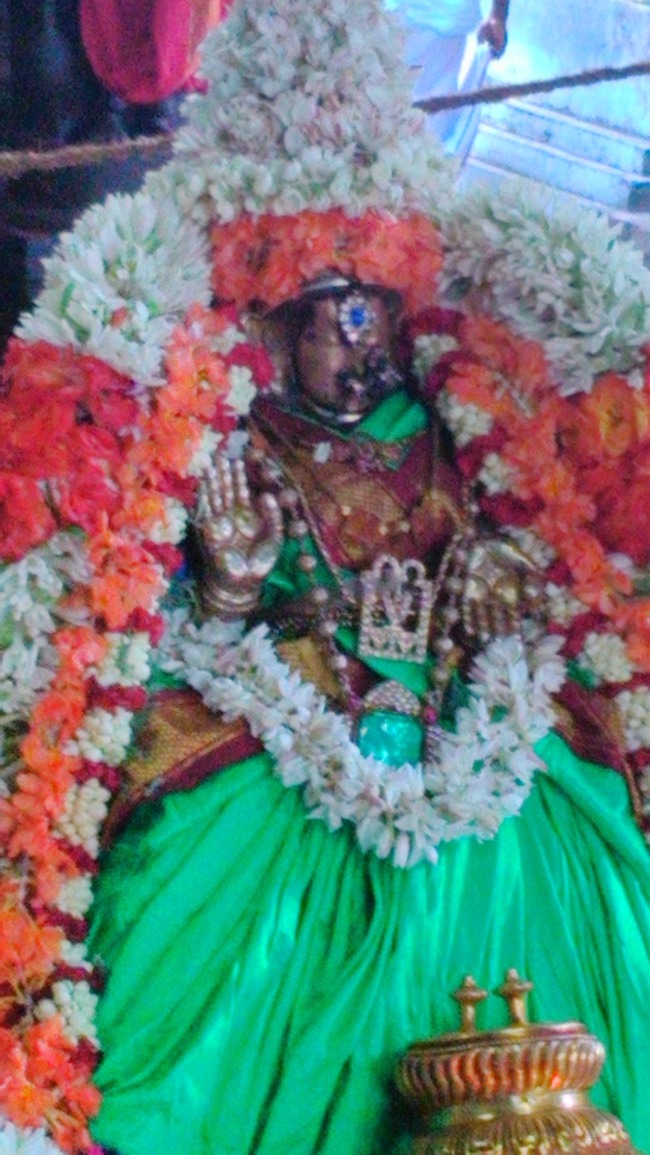 Mylapore Mayuravalli Thayar Vellikizhamai Purappadu  2014--03