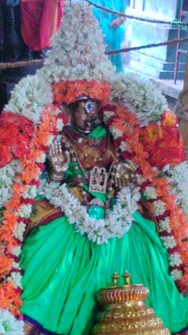 Mylapore Mayuravalli Thayar Vellikizhamai Purappadu  2014--04
