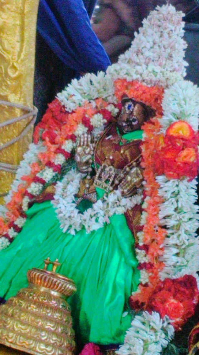 Mylapore Mayuravalli Thayar Vellikizhamai Purappadu  2014--06