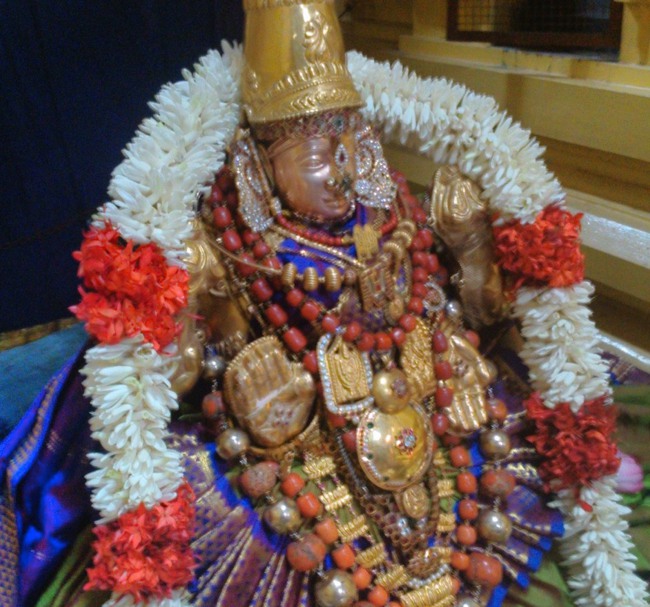 Mylapore SVDD Thayar Vellikizhamai Purappadu  2014--01