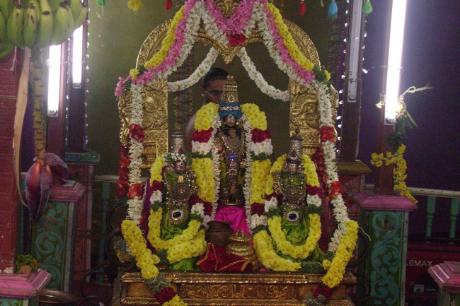 Mylapore Sri Adhikesava Perumal Kovil Theppam day 3 2014--10