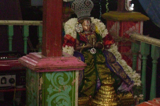 Mylapore Sri Adhikesava Perumal Kovil Theppam day 3 2014--14