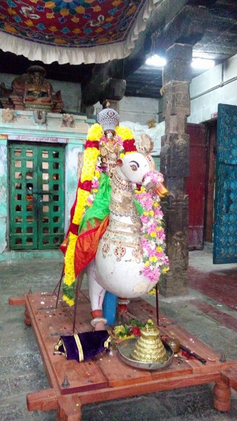 Mylapore adhikesava Perumal Rathasapthami Morning Purappadu 2014 -07