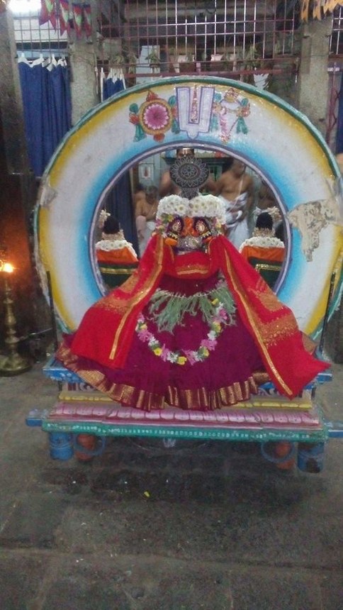 Mylapore adhikesava Perumal Rathasapthami Morning Purappadu 2014 -08