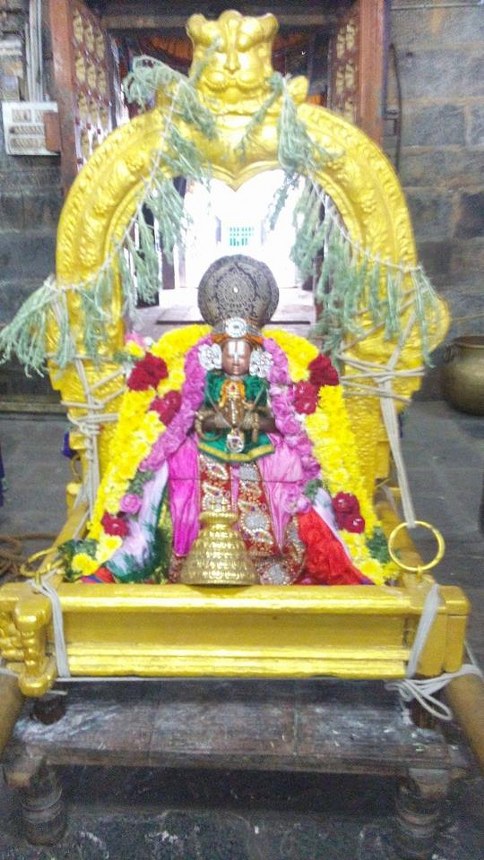 Mylapore adhikesava Perumal Rathasapthami Morning Purappadu 2014 -10