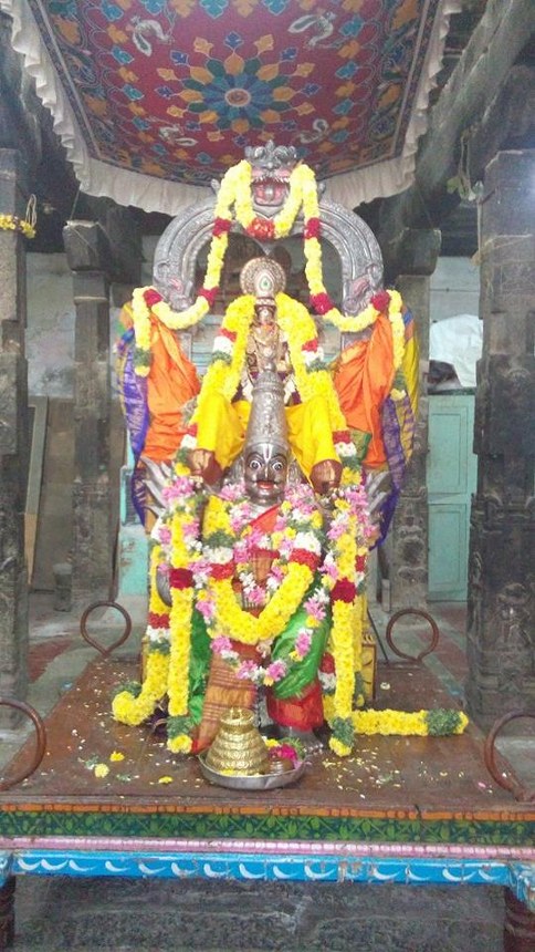 Mylapore adhikesava Perumal Rathasapthami Morning Purappadu 2014 -11