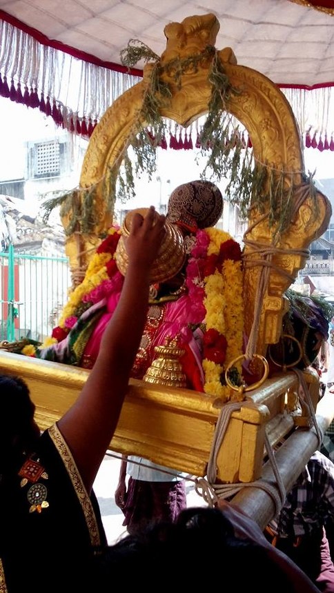 Mylapore adhikesava Perumal Rathasapthami Morning Purappadu 2014 -13