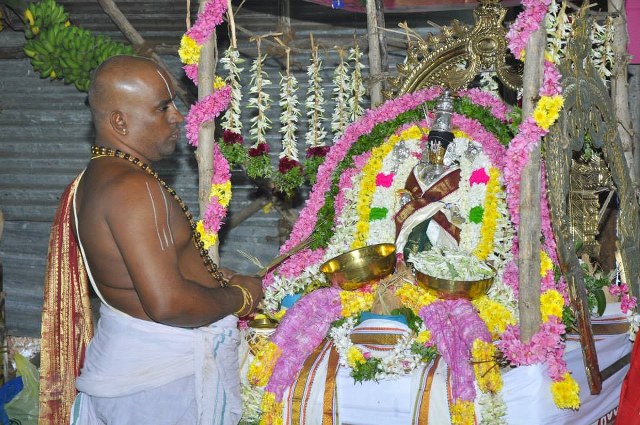 Pathamadai Sri venkatachalapathy Temple Samprokshanam 2014 -33