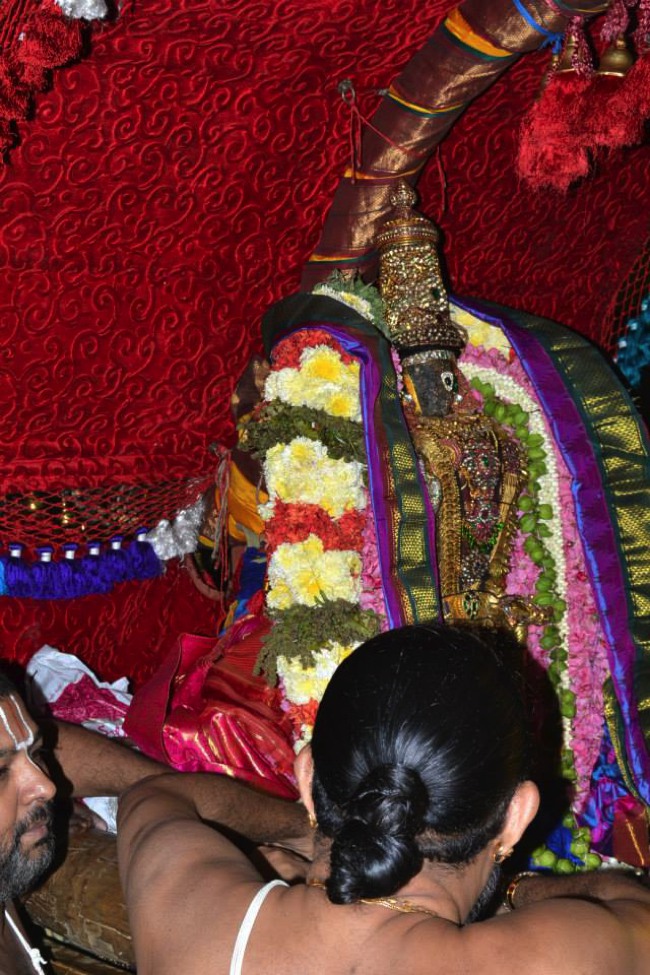 Peyazhwar Mangalasanam to Parthasarathy during ekkadhuthangal utsavam 2014--13