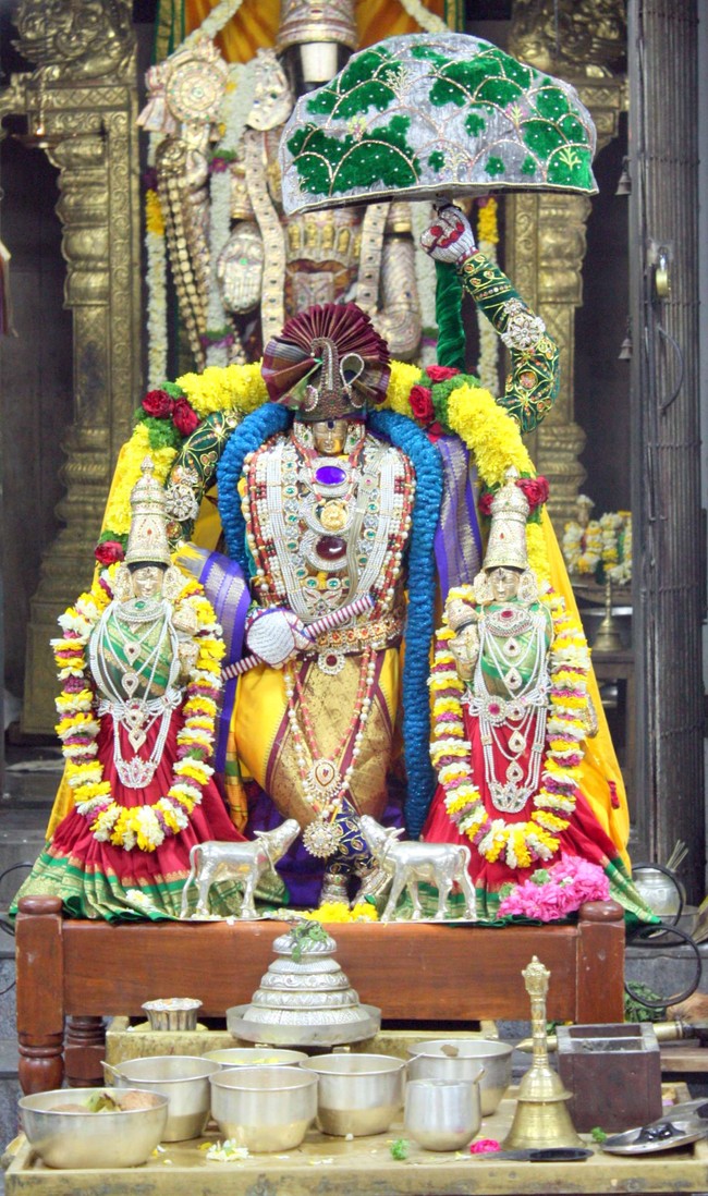 Pune Sri Balaji Mandir Annakoota Utsavam 2014 -02
