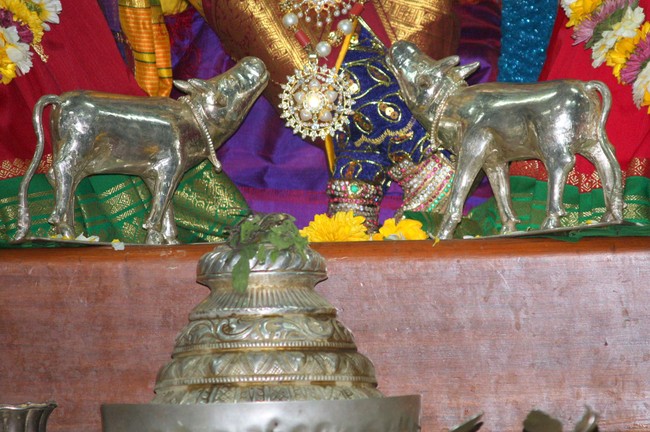 Pune Sri Balaji Mandir Annakoota Utsavam 2014 -06