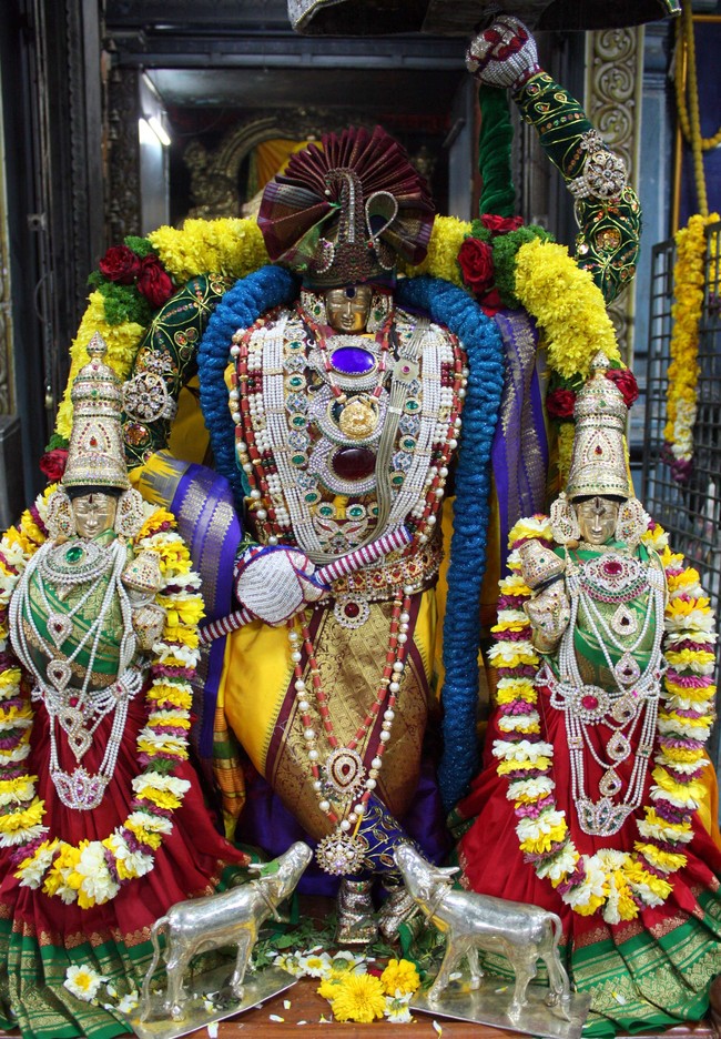 Pune Sri Balaji Mandir Annakoota Utsavam 2014 -14