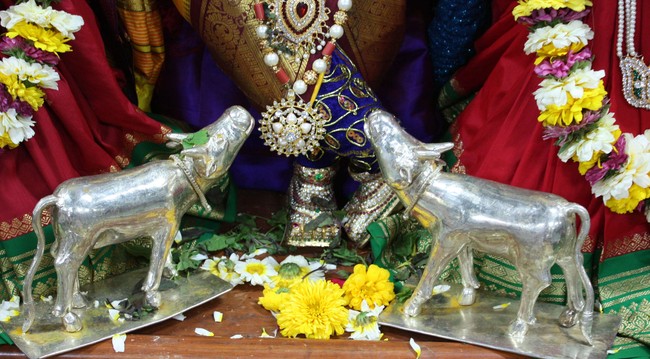 Pune Sri Balaji Mandir Annakoota Utsavam 2014 -15