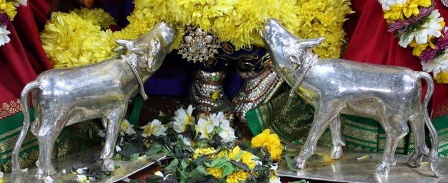 Pune Sri Balaji Mandir Annakoota Utsavam 2014 -18