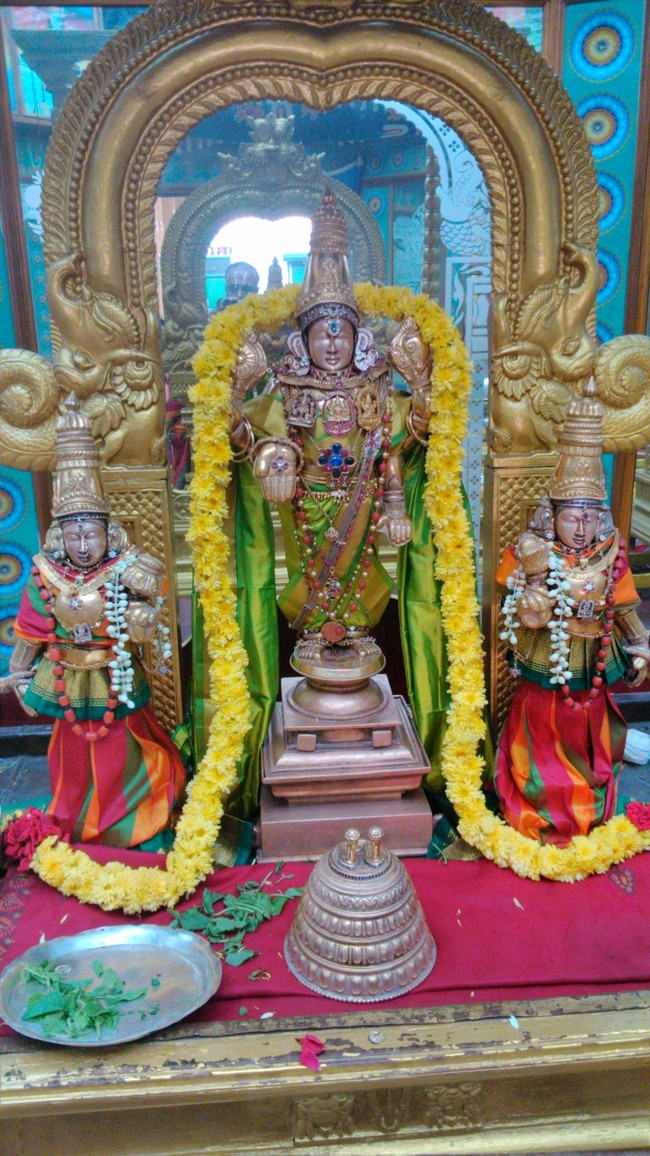 SVDD Ekadasai Purappadu  2014 -3