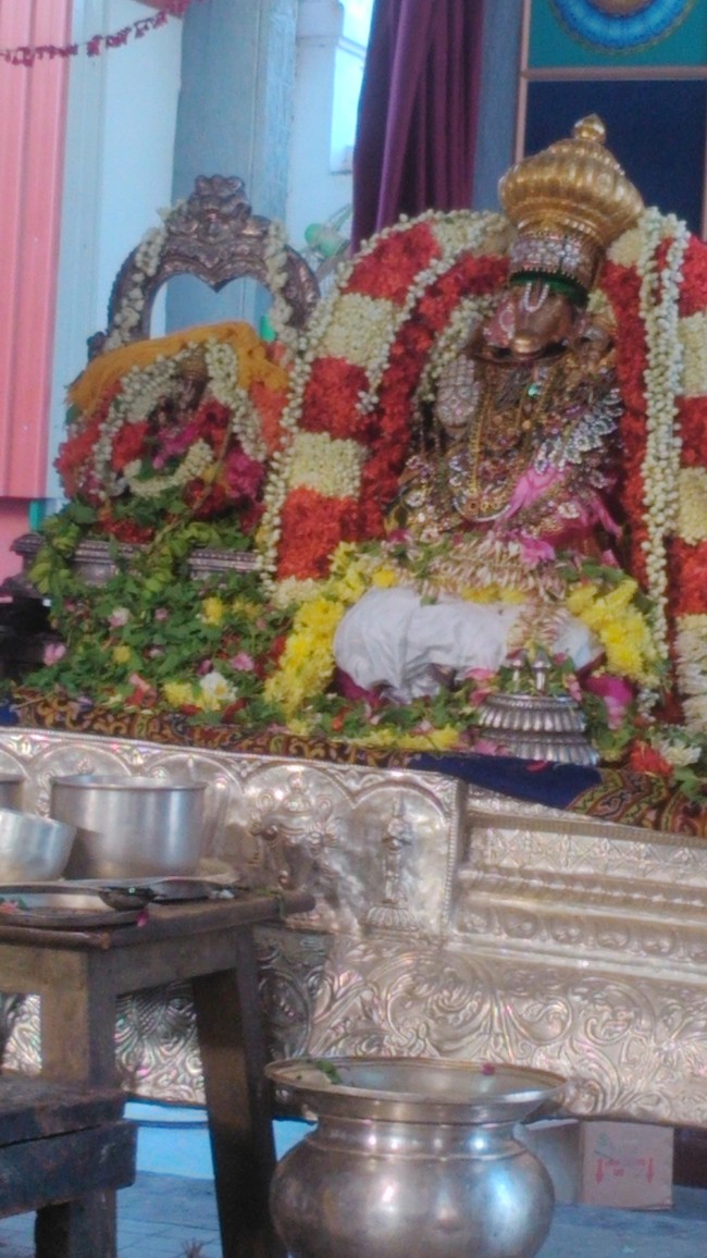 SVDD Hayagreeva Sri Vidya Abhivruthi Homam 2014 -01