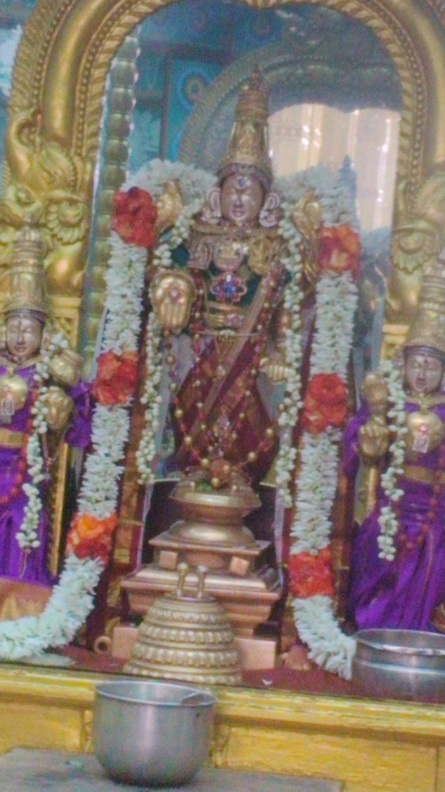 SVDD Srinivasa Perumal Masi Sravanam Purappadu 2014 -02