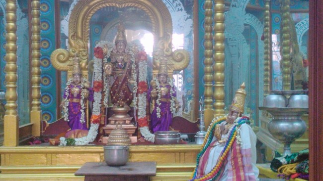 SVDD Srinivasa Perumal Masi Sravanam Purappadu 2014 -03