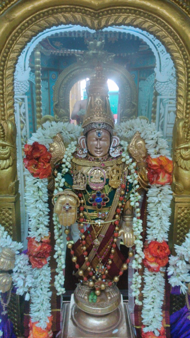 SVDD Srinivasa Perumal Masi Sravanam Purappadu 2014 -07