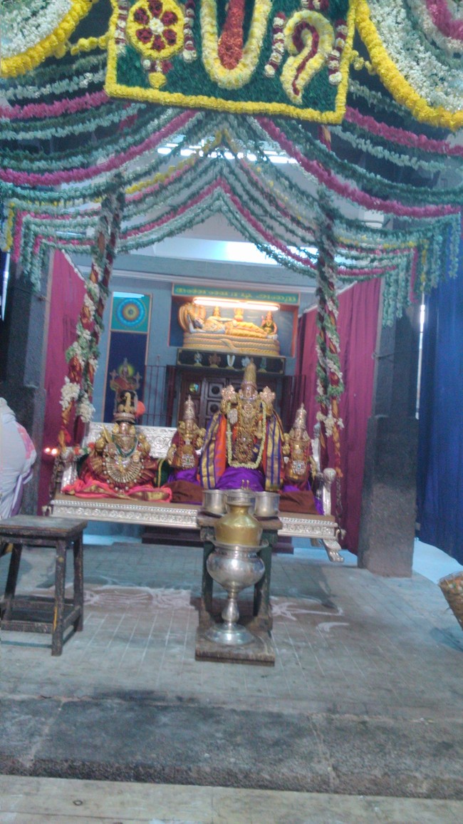 SVDD Srinivasa Perumal temple DHavanotsavam  day 1  2014 -02