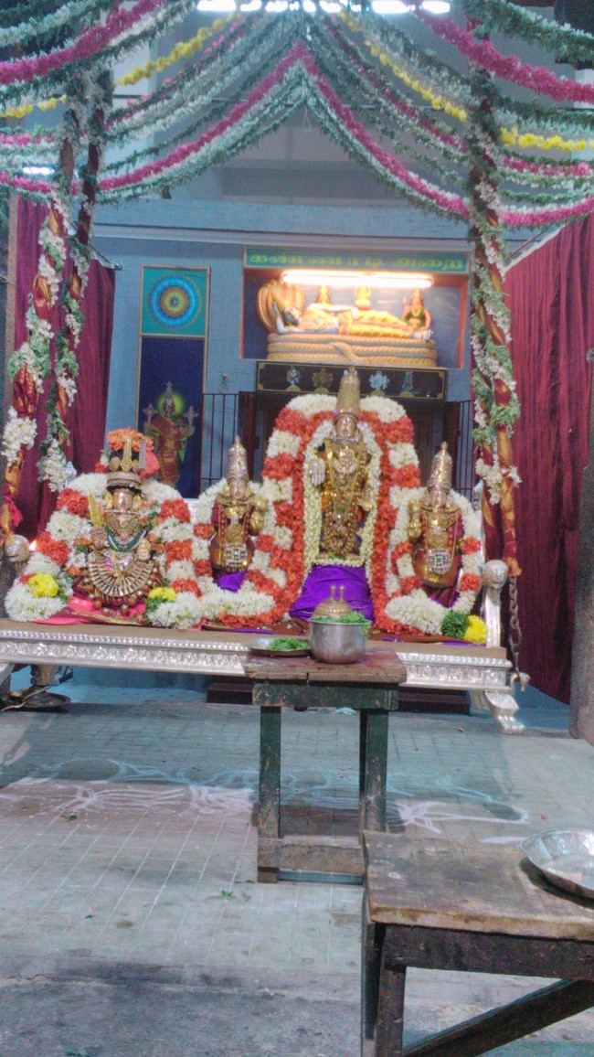 SVDD Srinivasa Perumal temple DHavanotsavam  day 1  2014 -11