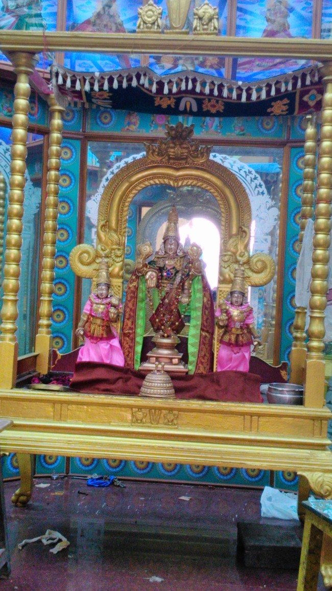 SVDD srinivasa temple Hastham Purappadu 2014 -03