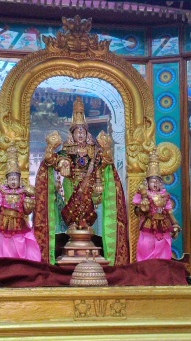 SVDD srinivasa temple Hastham Purappadu 2014 -04