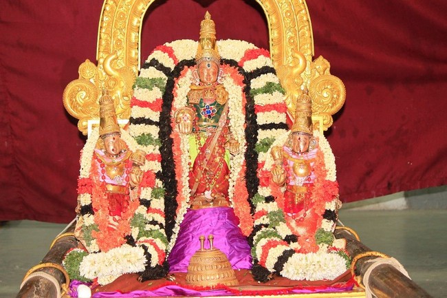 SVDD srinivasa temple Hastham Purappadu 2014 -11