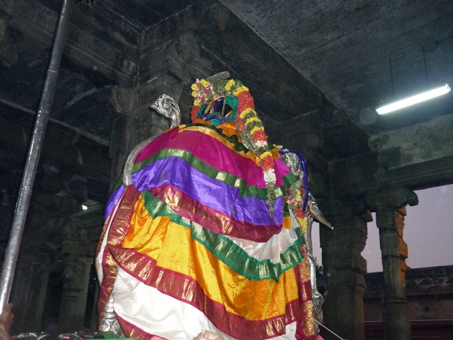 Srirangam Bhoopathi THirunal Namperumal Yali vahanam 2014 -14