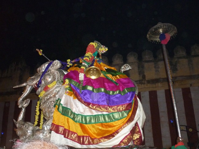 Srirangam Bhoopathi THirunal Namperumal Yali vahanam 2014 -46