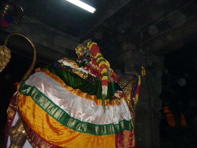 Srirangam Bhoopathi THirunal Simha Vahanam 2014 -19