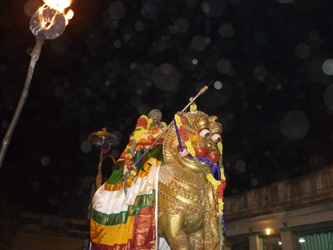 Srirangam Bhoopathi THirunal Simha Vahanam 2014 -42