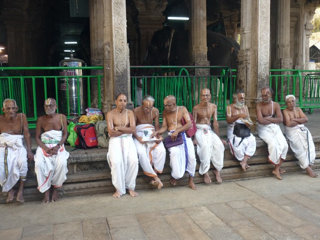 Srirangam Bhoopathi Thirunal  Pallaku 2014 -02