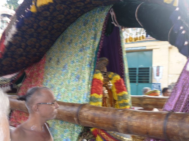 Srirangam Bhoopathi Thirunal  Pallaku 2014 -12