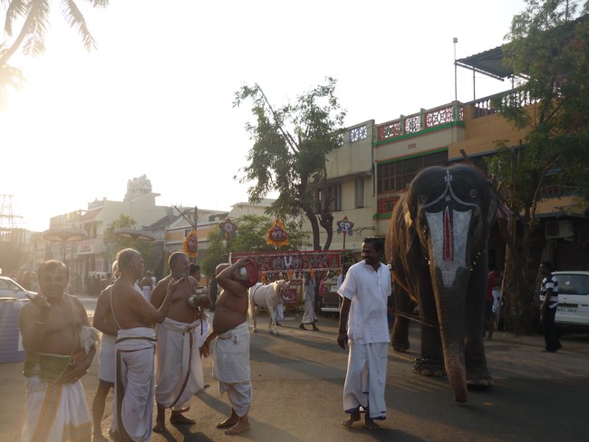Srirangam Bhoopathi Thirunal  Pallaku 2014 -17