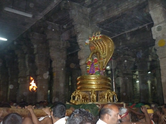 Srirangam Bhoopathi Thirunal Sesha Vahanam 2014--07