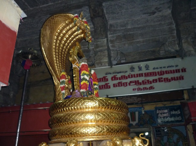 Srirangam Bhoopathi Thirunal Sesha Vahanam 2014--11