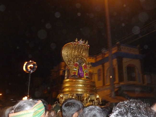 Srirangam Bhoopathi Thirunal Sesha Vahanam 2014--14