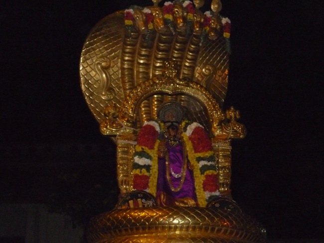 Srirangam Bhoopathi Thirunal Sesha Vahanam 2014--19