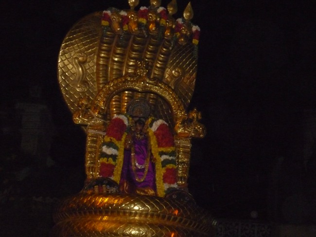 Srirangam Bhoopathi Thirunal Sesha Vahanam 2014--20